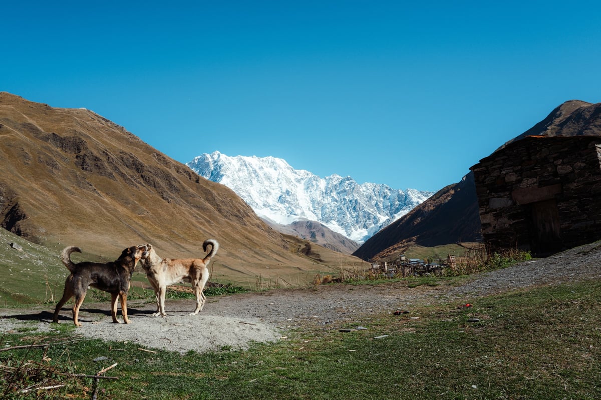 End of the World — Ushguli, Georgia — frame